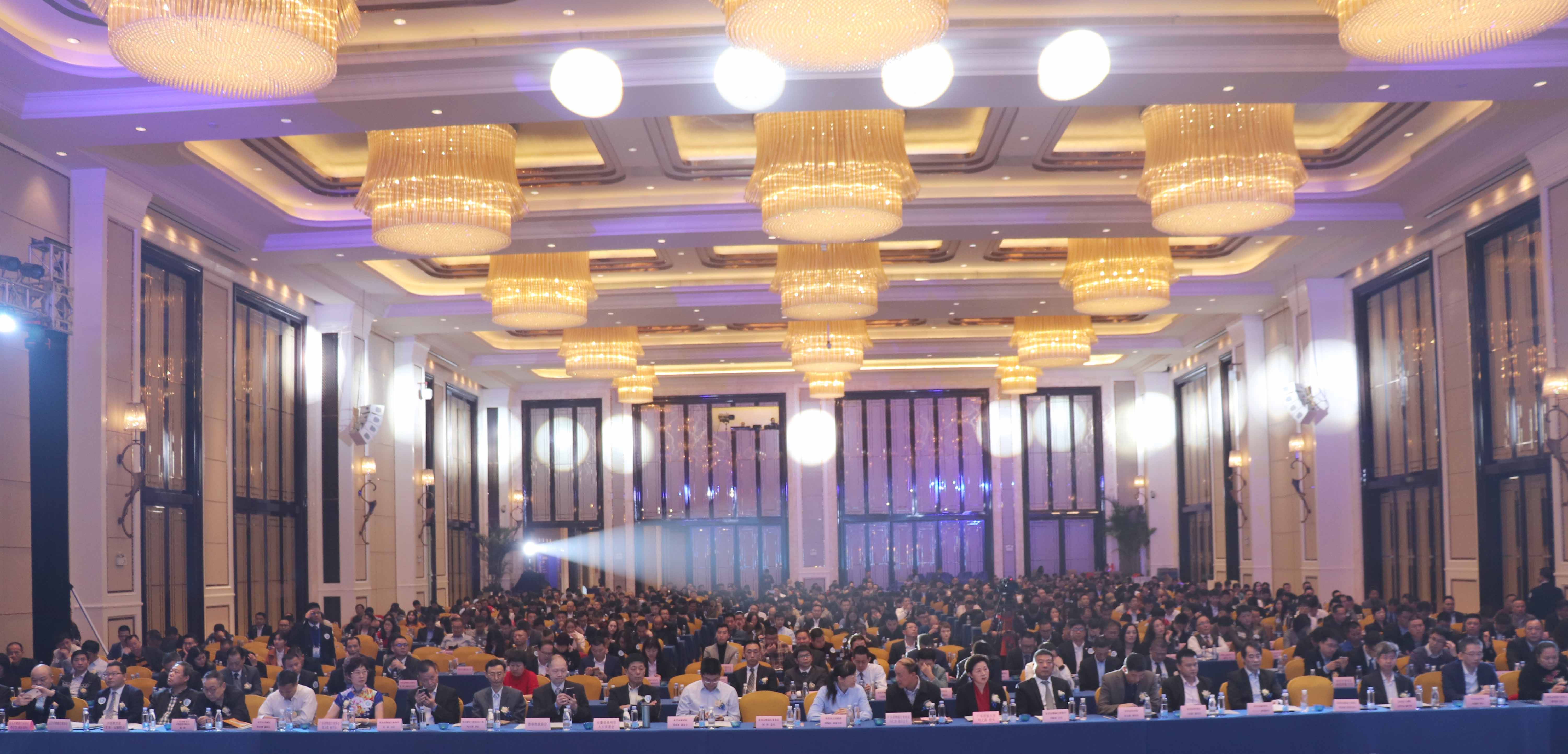 IMG_6355.JPG IMG_6355.JPG