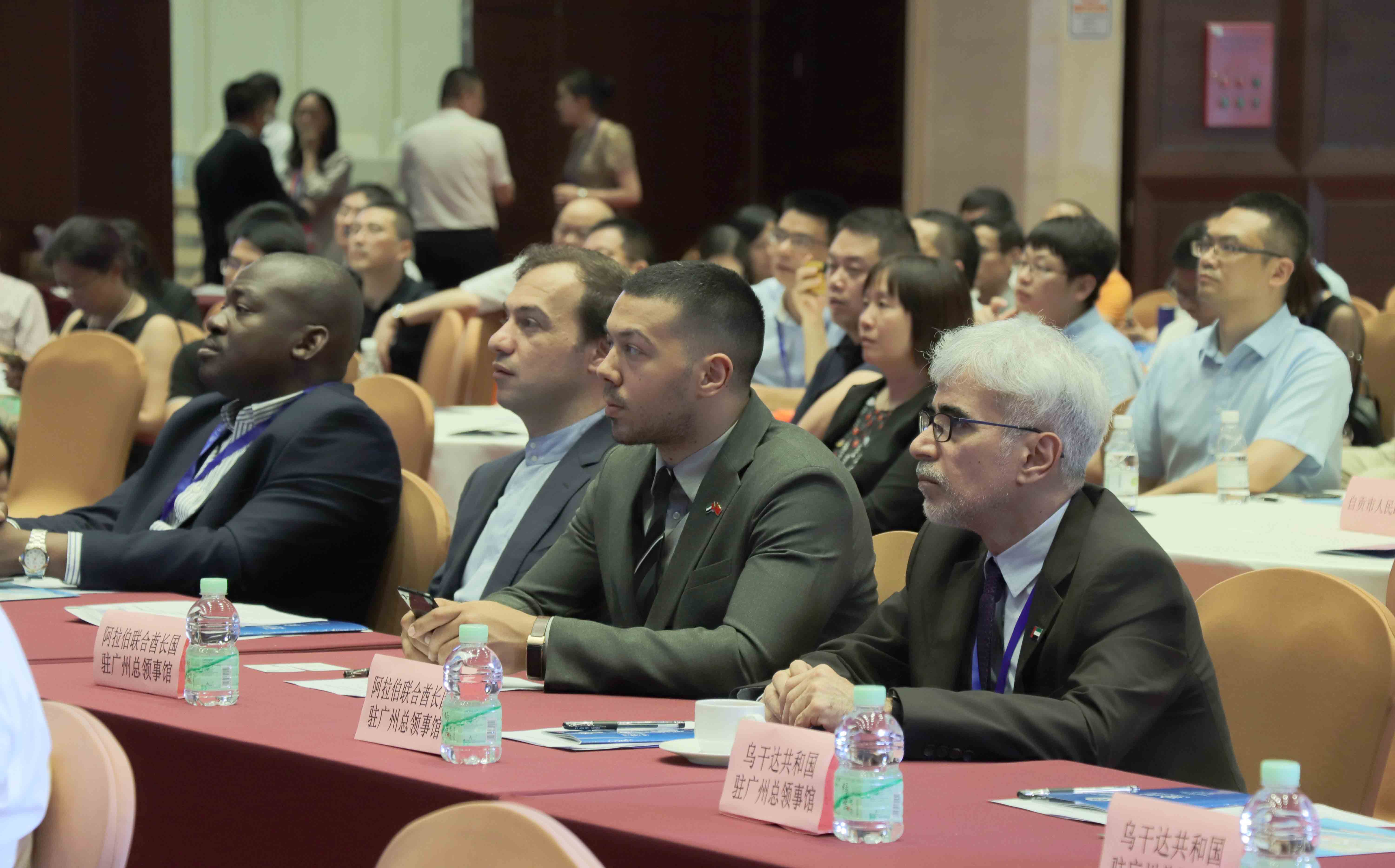 IMG_0241 (1).JPG IMG_0241 (1).JPG