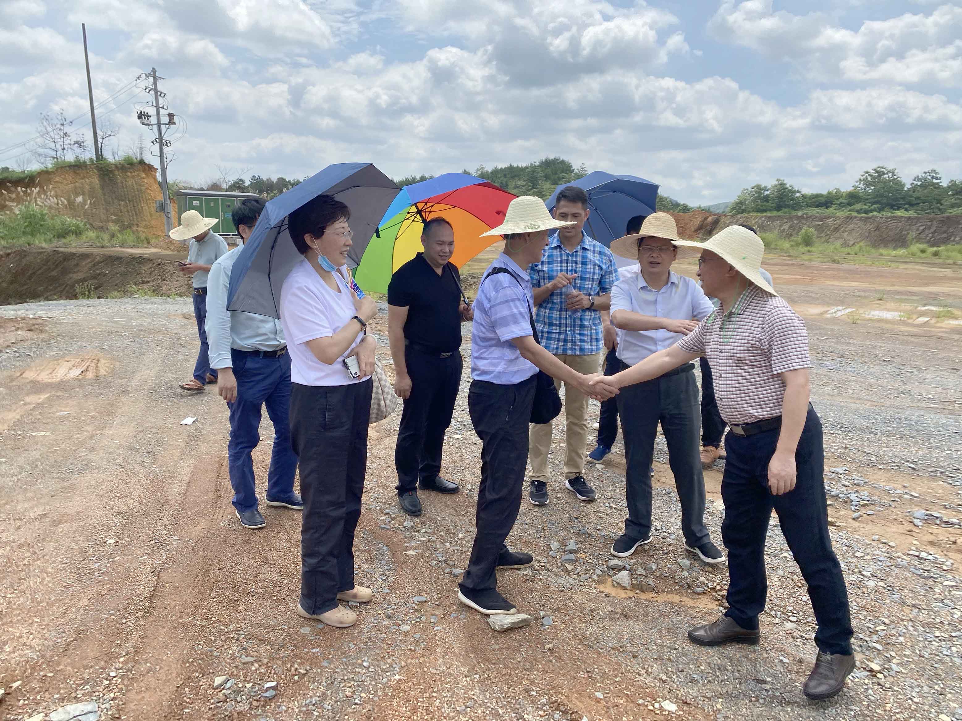 图片11.jpg 图片11.jpg