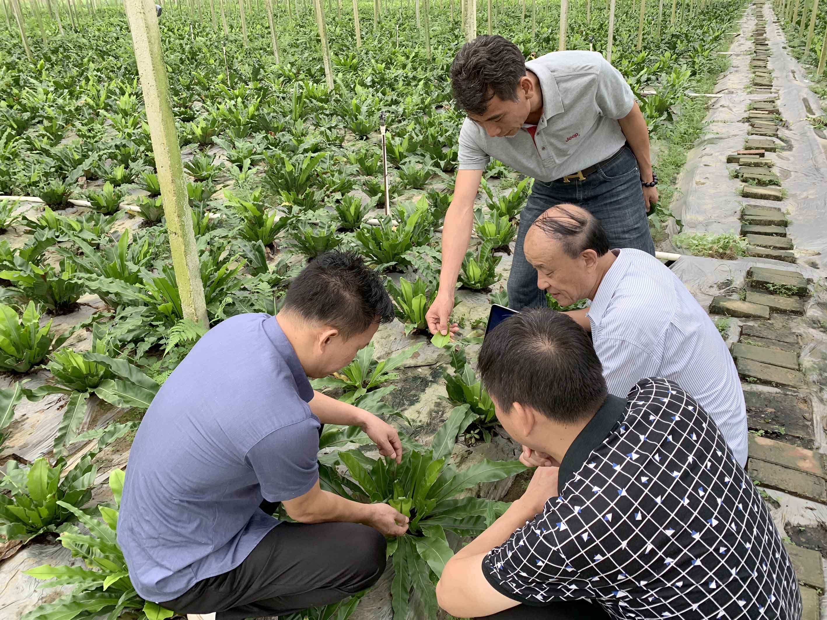 微信图片_20200914094519.jpg 微信图片_20200914094519.jpg