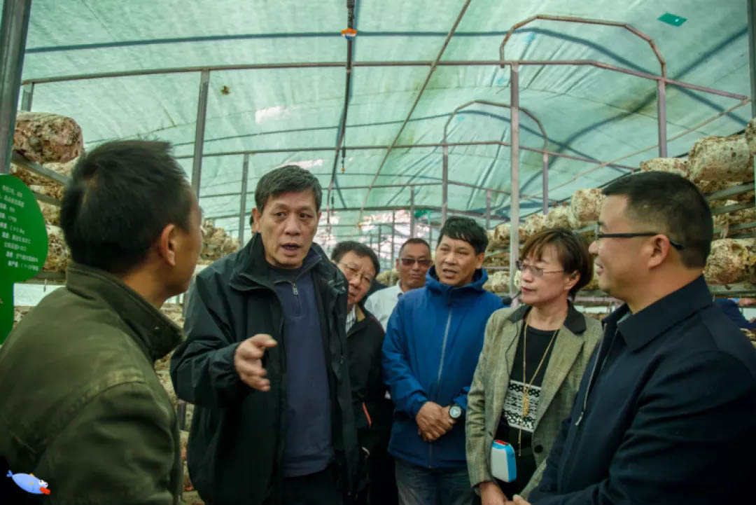 微信图片_20201125095426.jpg 微信图片_20201125095426.jpg