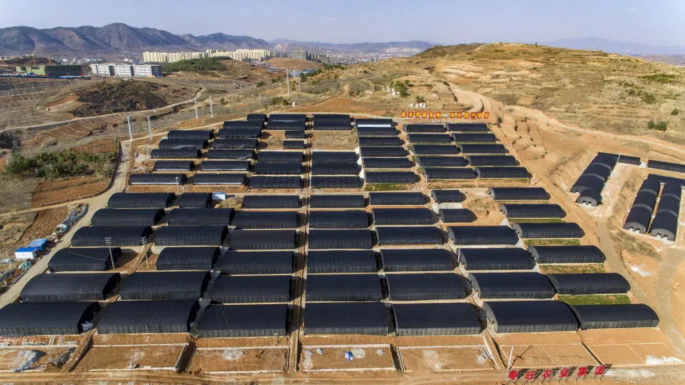 微信图片_20201125095529.jpg 微信图片_20201125095529.jpg