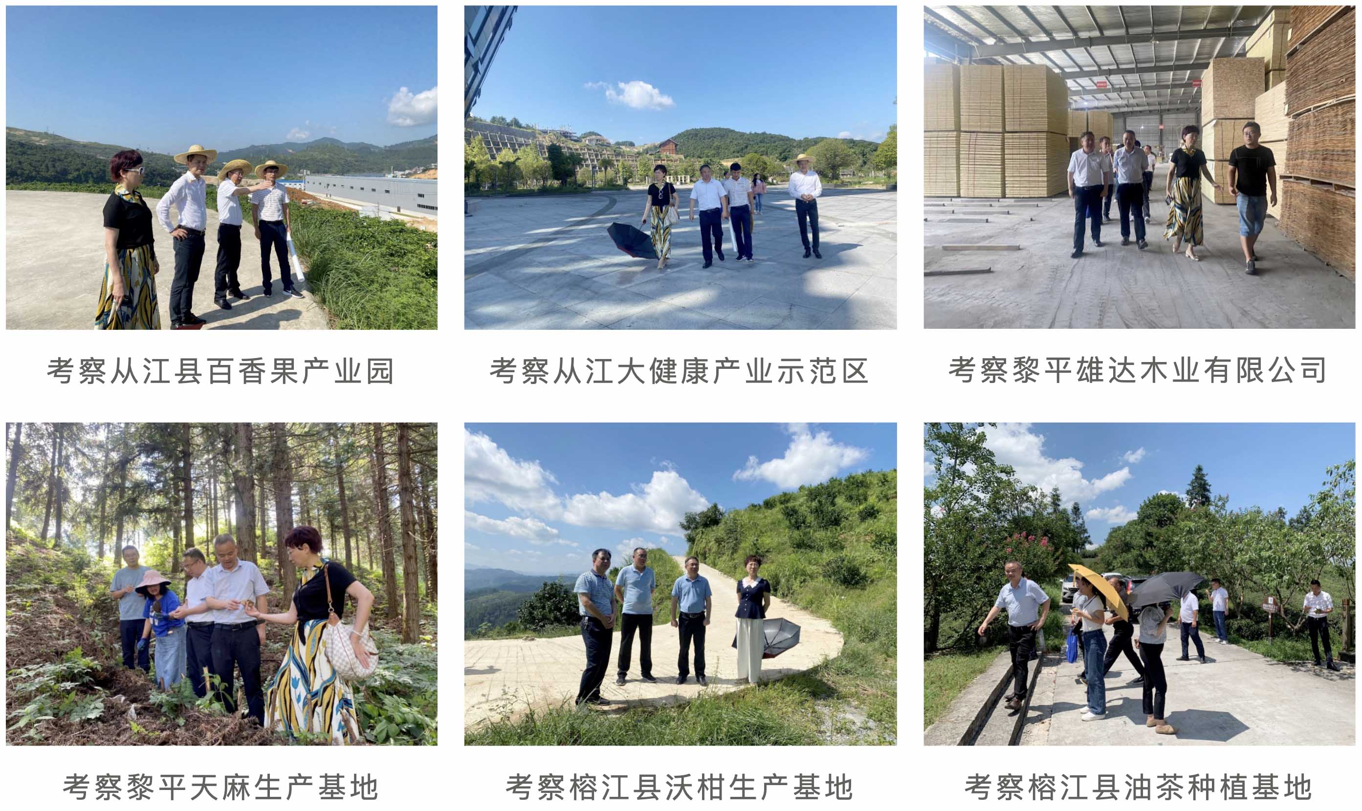 QQ20220726-222746@2x 拷贝.jpg QQ20220726-222746@2x 拷贝.jpg