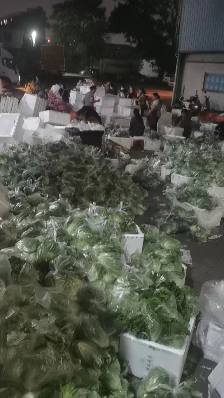 WechatIMG9595.jpg WechatIMG9595.jpg